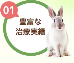 【01】豊富な治療実績