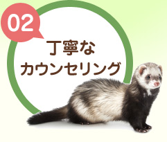【02】丁寧なカウンセリング