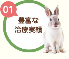 【01】豊富な治療実績