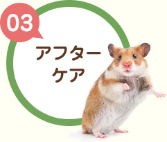 【03】アフターケア