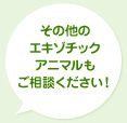その他のエキゾチックアニマルもご相談ください！